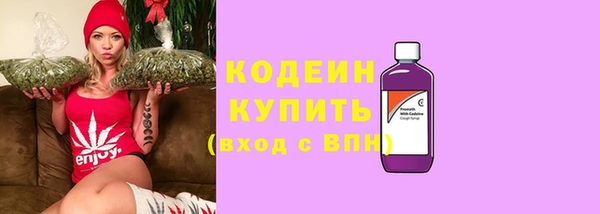 ПСИЛОЦИБИНОВЫЕ ГРИБЫ Богданович