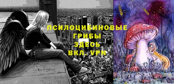 ГАЛЛЮЦИНОГЕННЫЕ ГРИБЫ Волосово