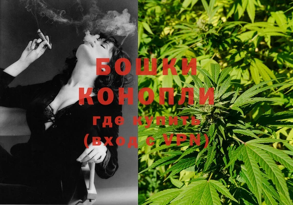 марки lsd Бородино