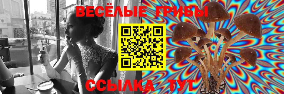 Галлюциногенные грибы ЛСД  сколько стоит  Северск  Вход с VPN 